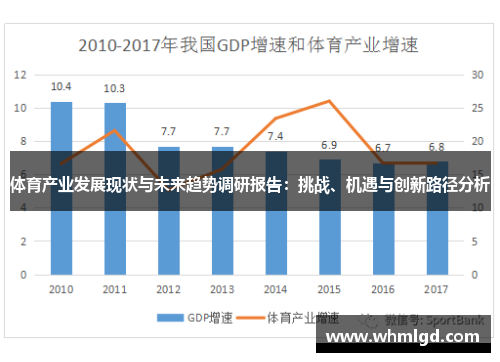 体育产业发展现状与未来趋势调研报告：挑战、机遇与创新路径分析